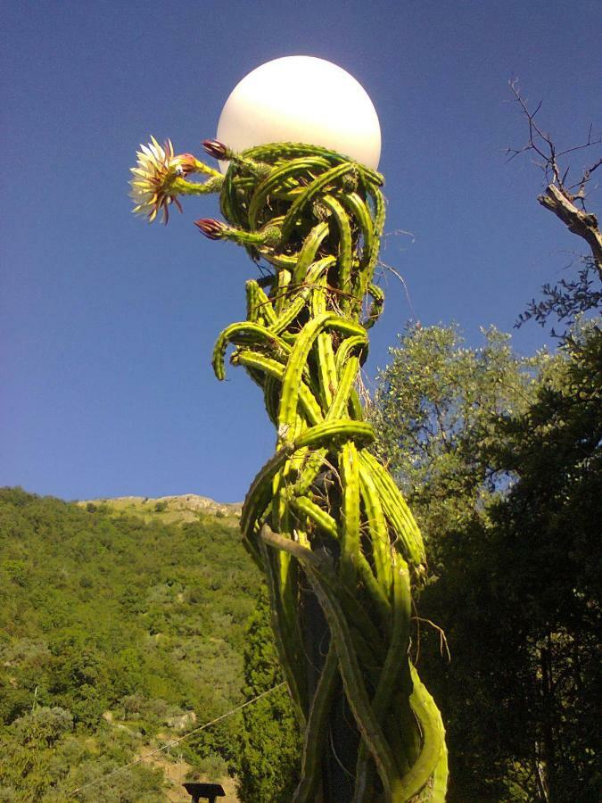 La Margherita Di Teriasca Dış mekan fotoğraf